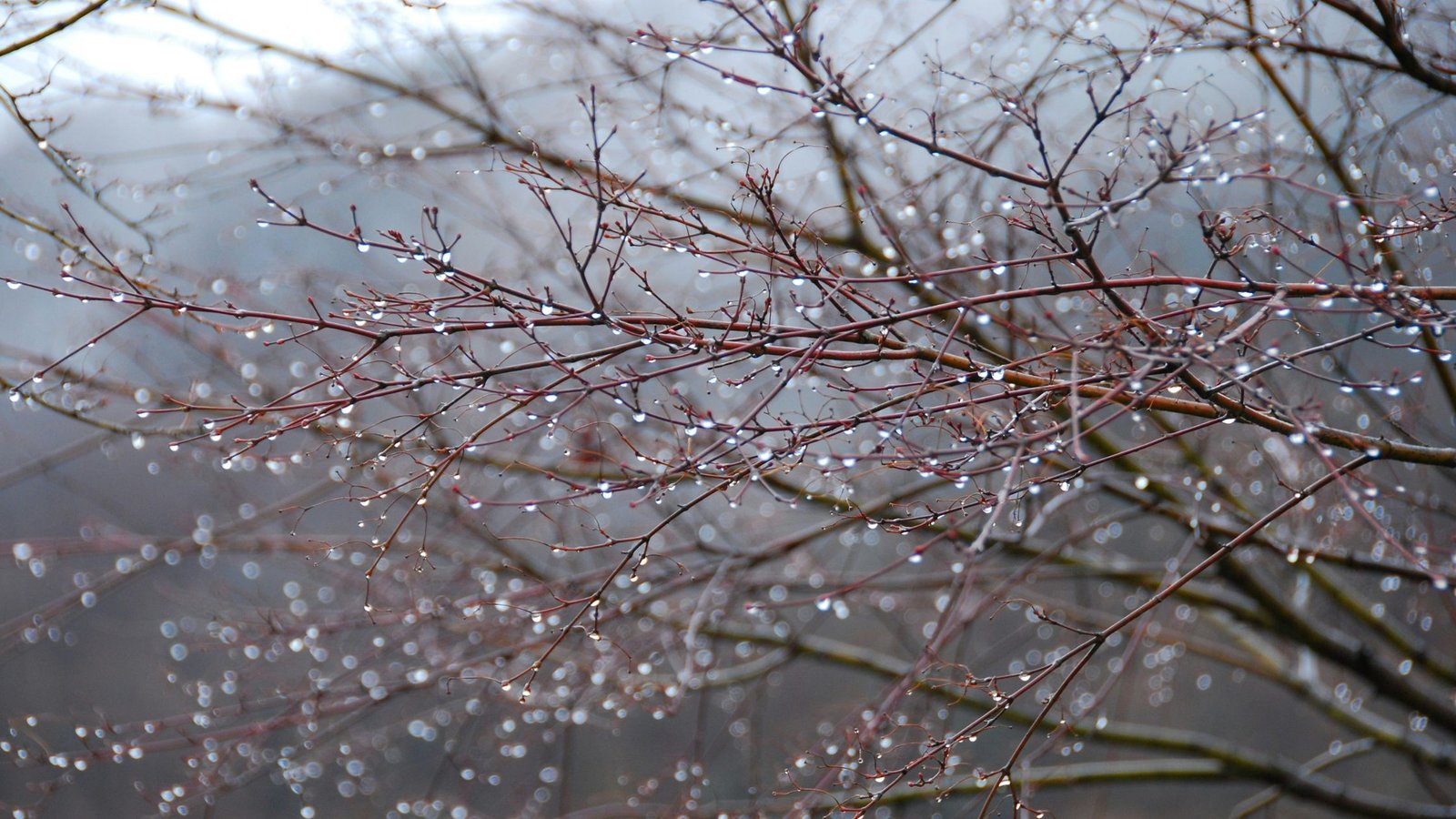 What is Seasonal Affective Disorder (SAD) and how is it treated?